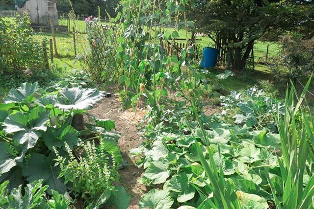 B&B Ferme Du Petit Breuil Verviers Bagian luar foto